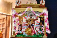 Sarva Bhupala Sevai - Oct 7, 2024