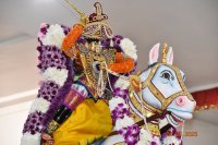 Ashwa Vahanam - Sep 24, 2023