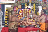 Kalyana Utsavam - Oct 13, 2024