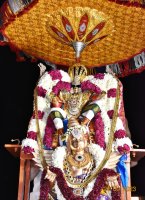 Garuda Vahanam - Sep 21, 2023